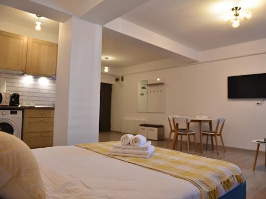 Radu Studio Mamaia Nord Apartment Năvodari Екстериор снимка